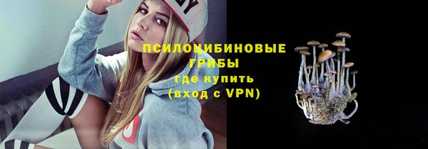 прущая мука Армянск