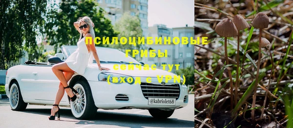 бошки Аркадак