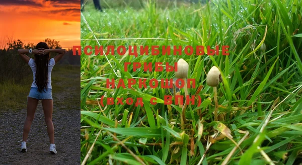 прущая мука Армянск